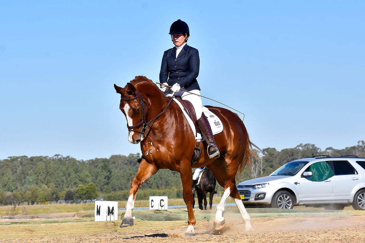 Dressage length false tails 76-90cm – Equine Image