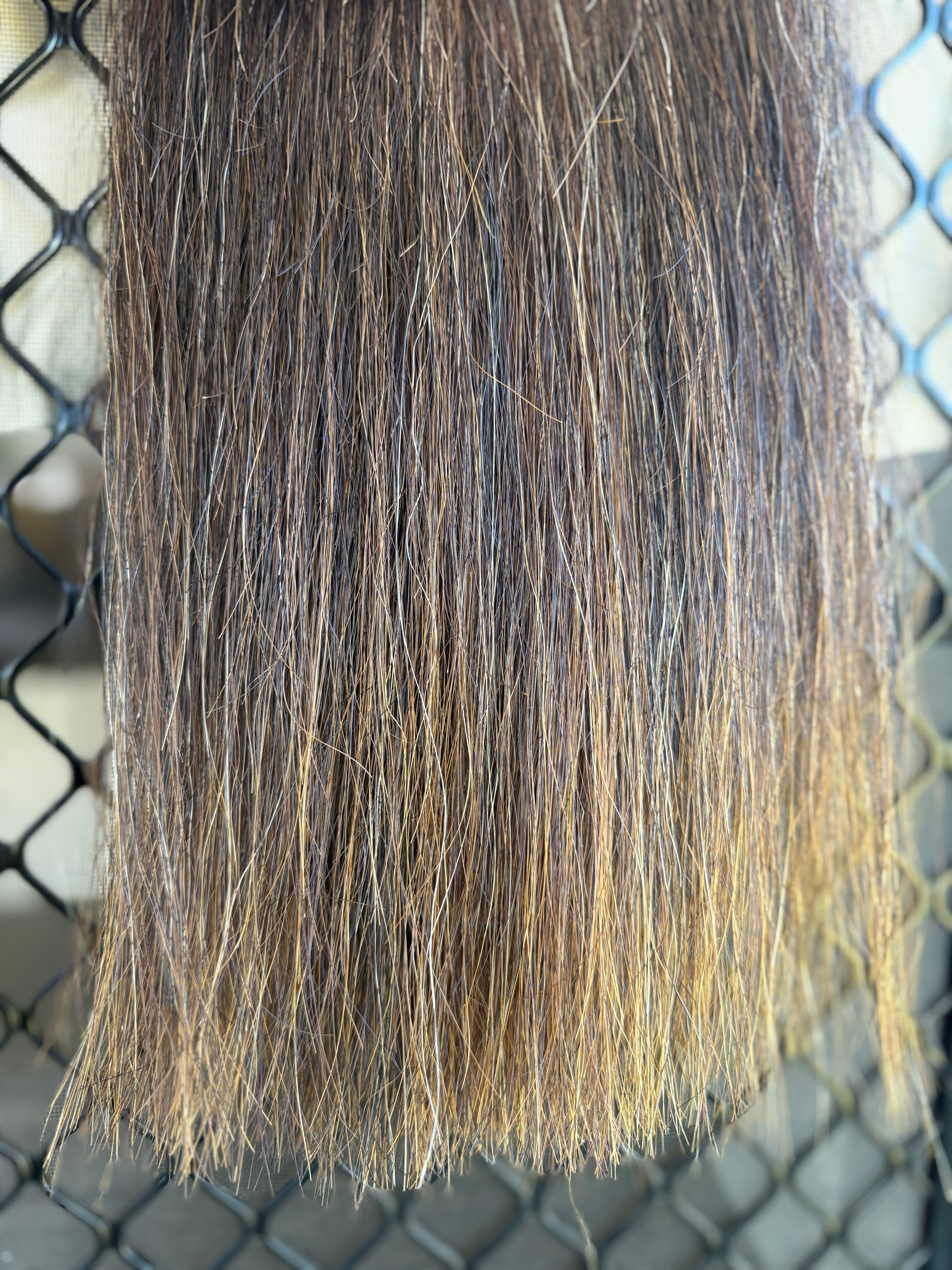 Dark chestnut Blend 70 cm long cut end Double thickness