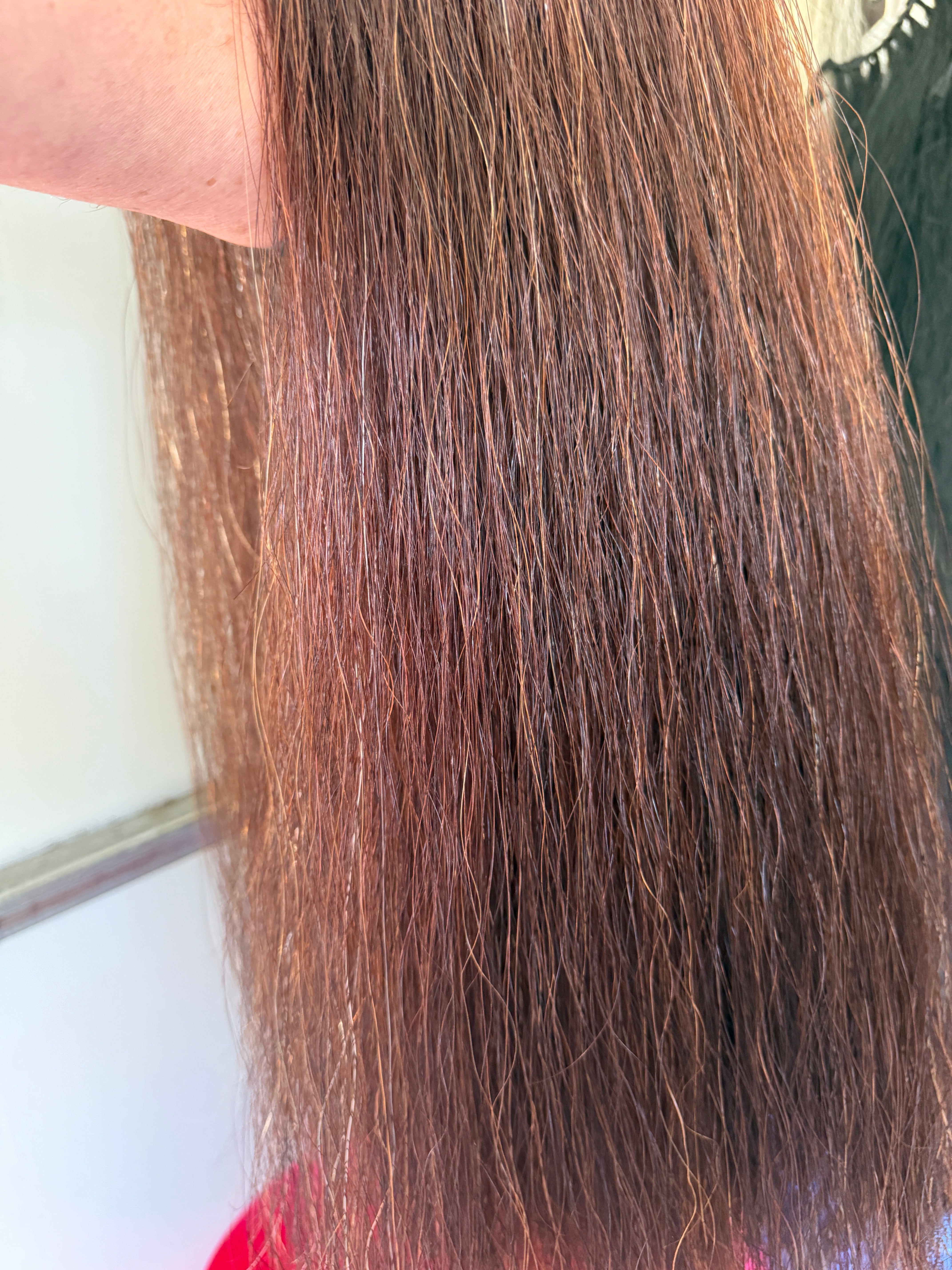 Qhorse Length 100 cm cut end Dark red (almost liver ) big Tripe 780g of hair