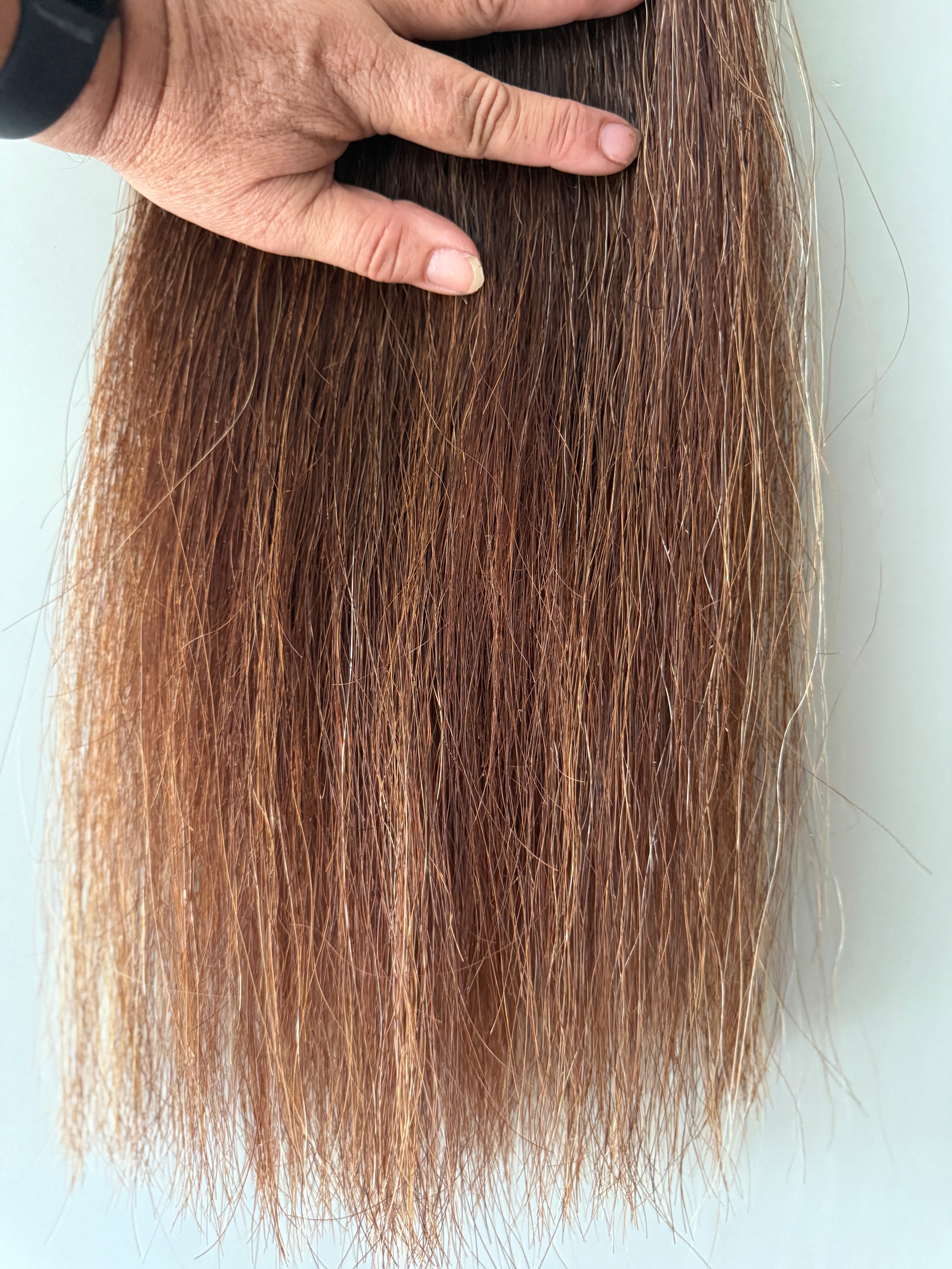 Pony Chestnut mix Full thickness ( big single ) 58 cm