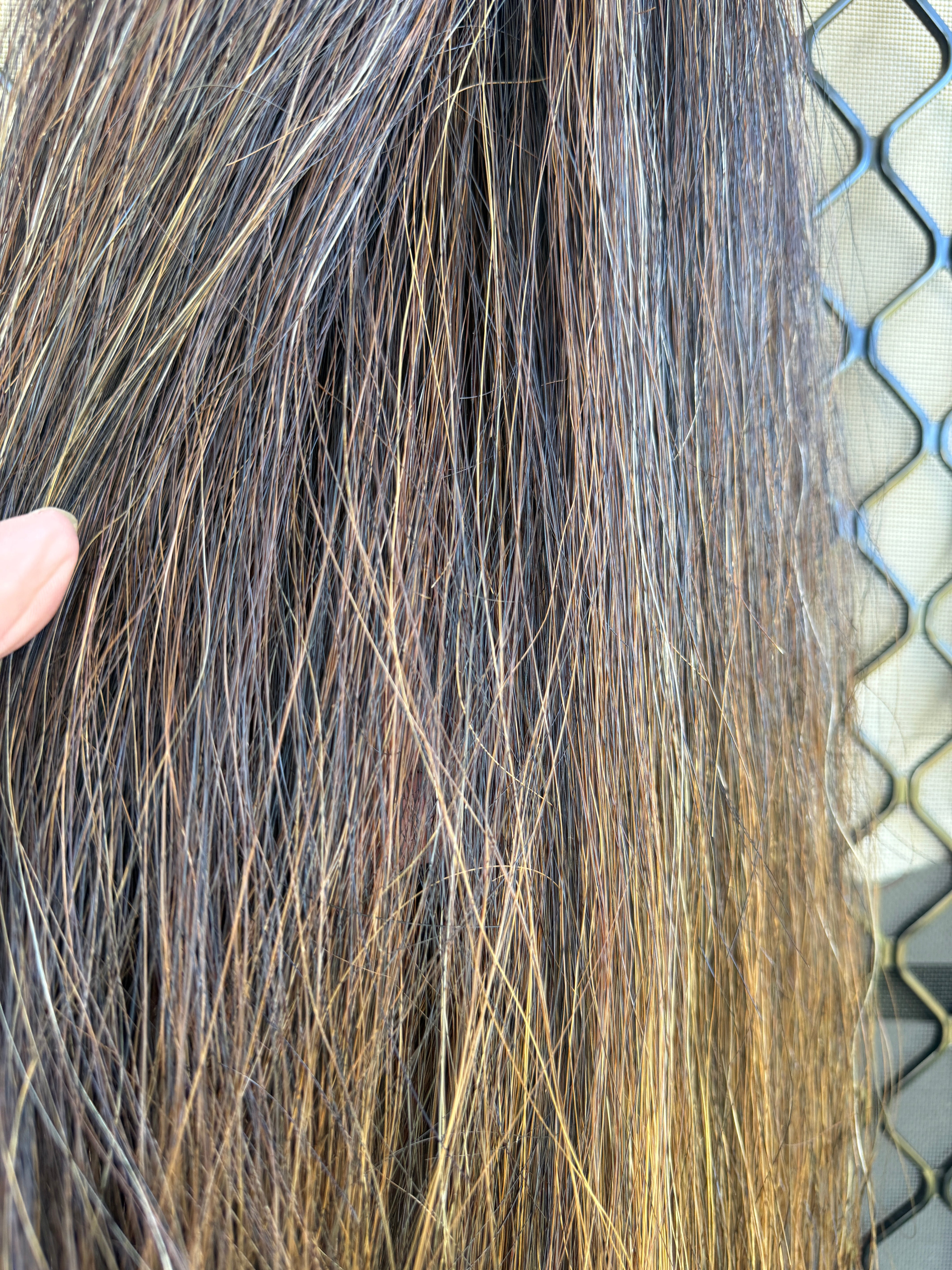 Dark chestnut Blend 70 cm long cut end Double thickness