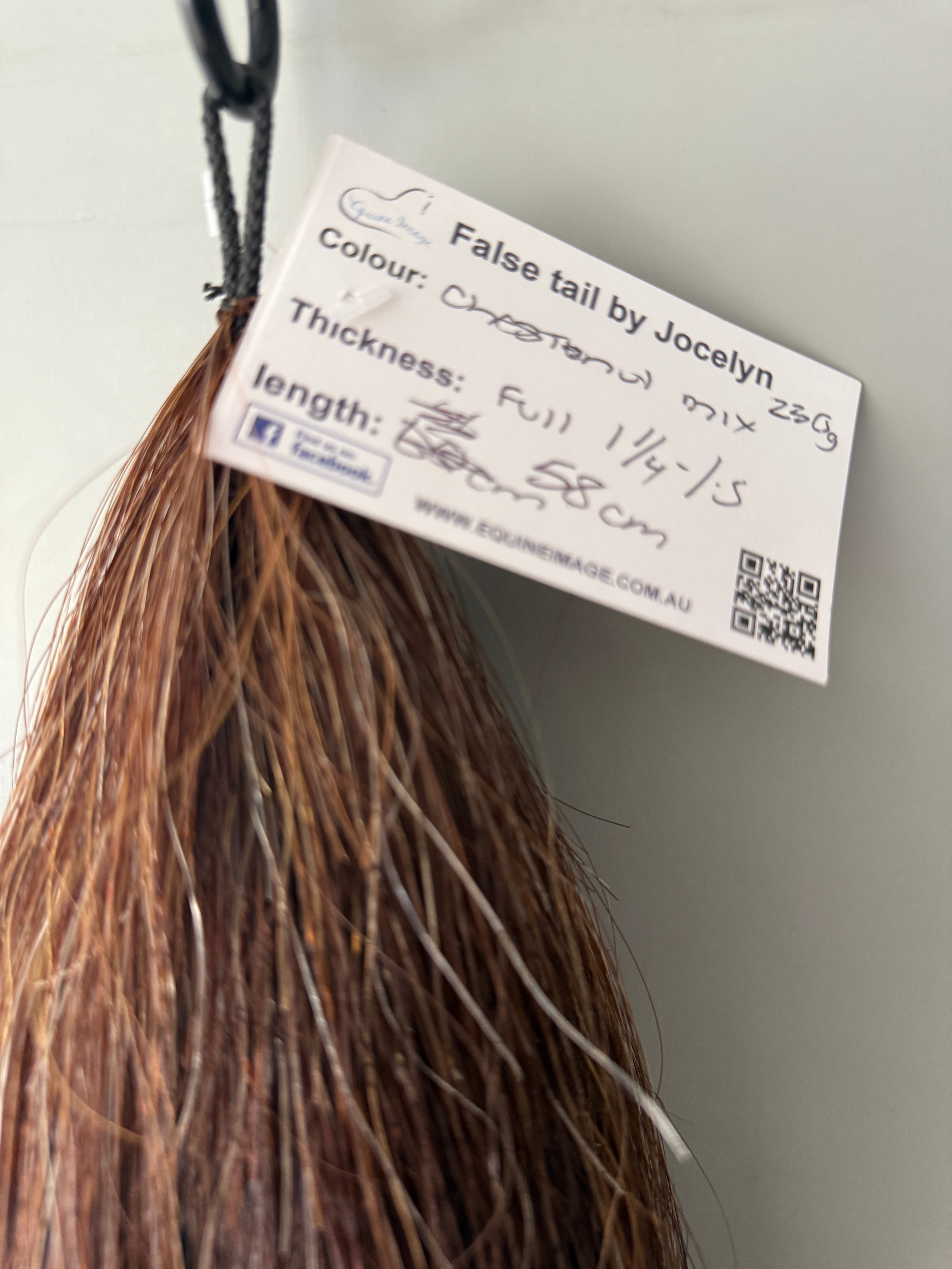 Pony Chestnut mix Full thickness ( big single ) 58 cm