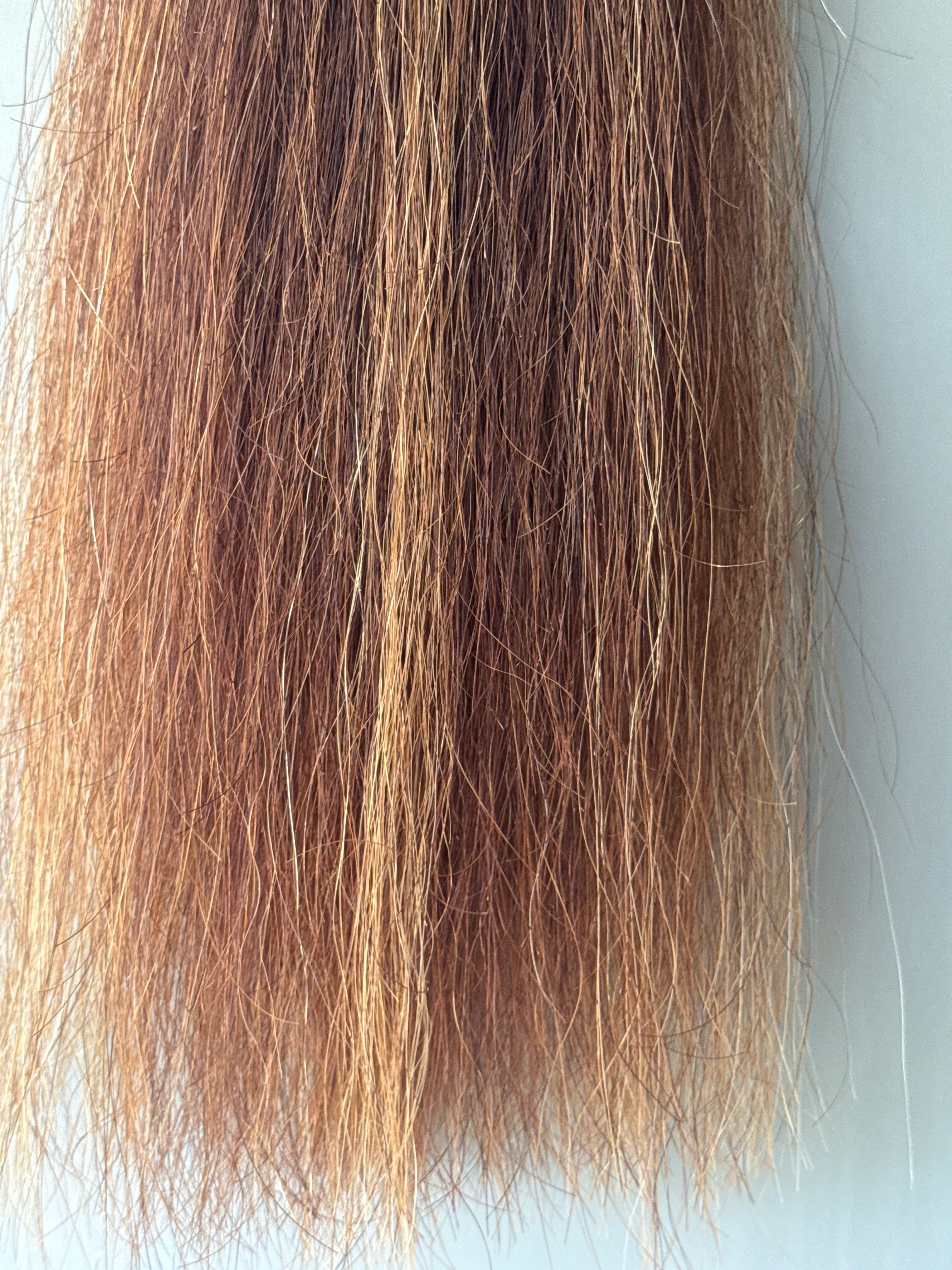 Chestnut mix Blend 60 cm  natural end Full plus ( 1.5 times  )