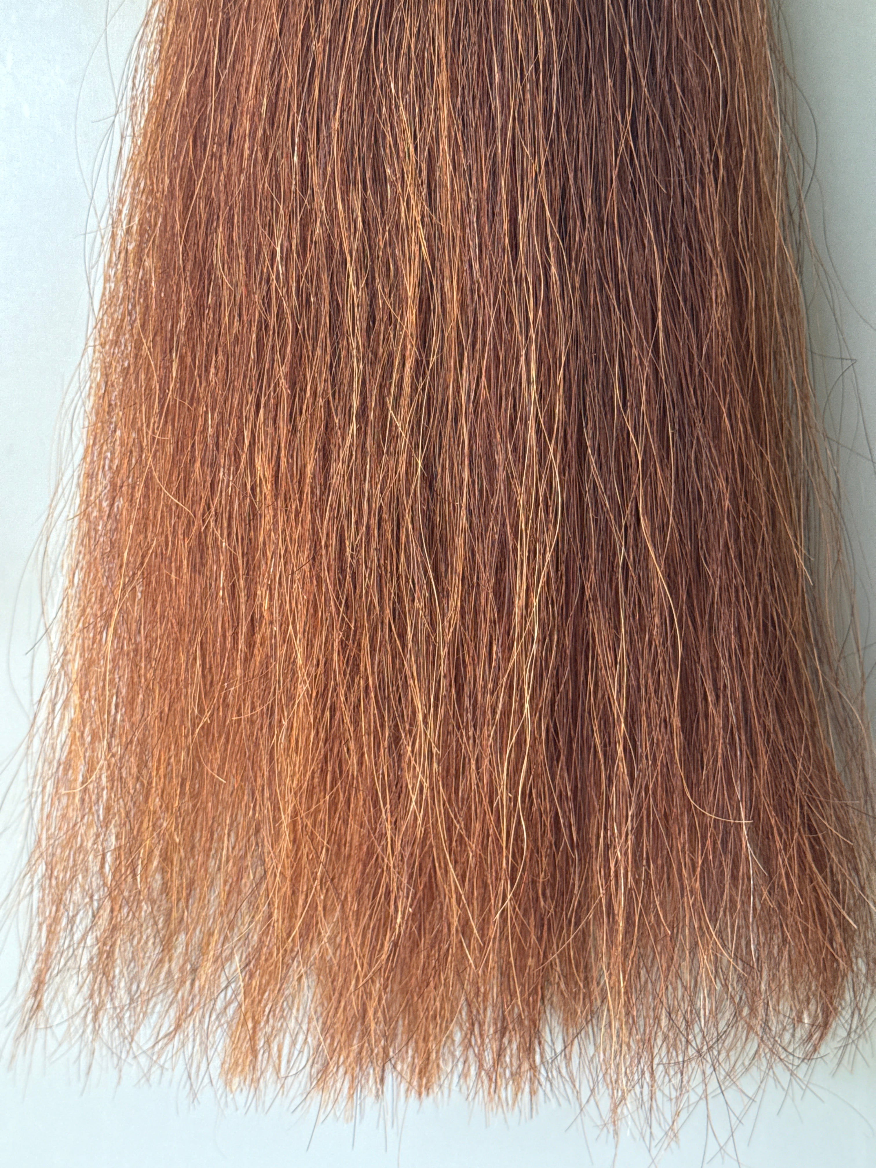 Chestnut blend Double plus about 2.5 times  71 cm natural end