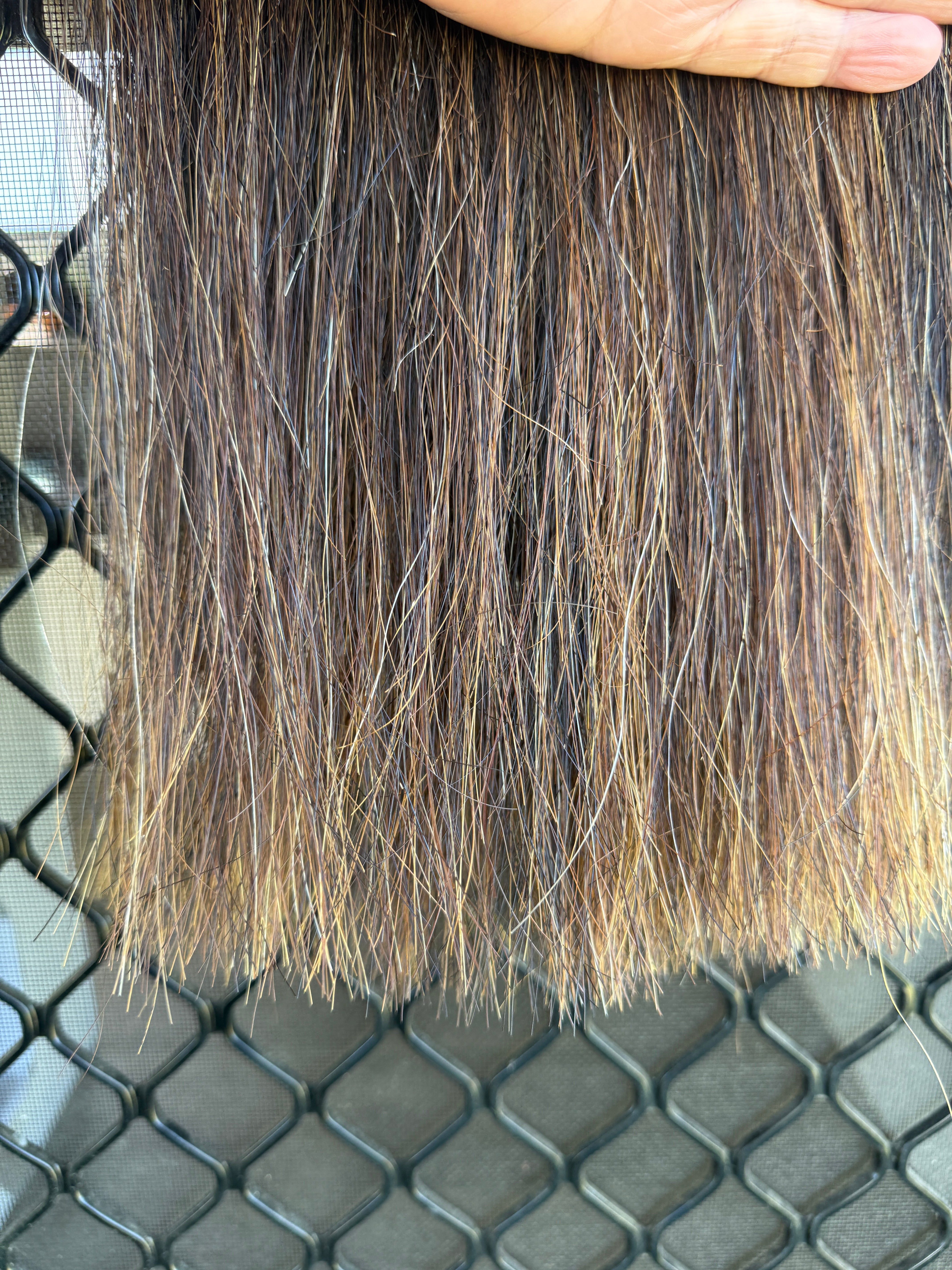 Dark chestnut Blend 70 cm long cut end Double thickness