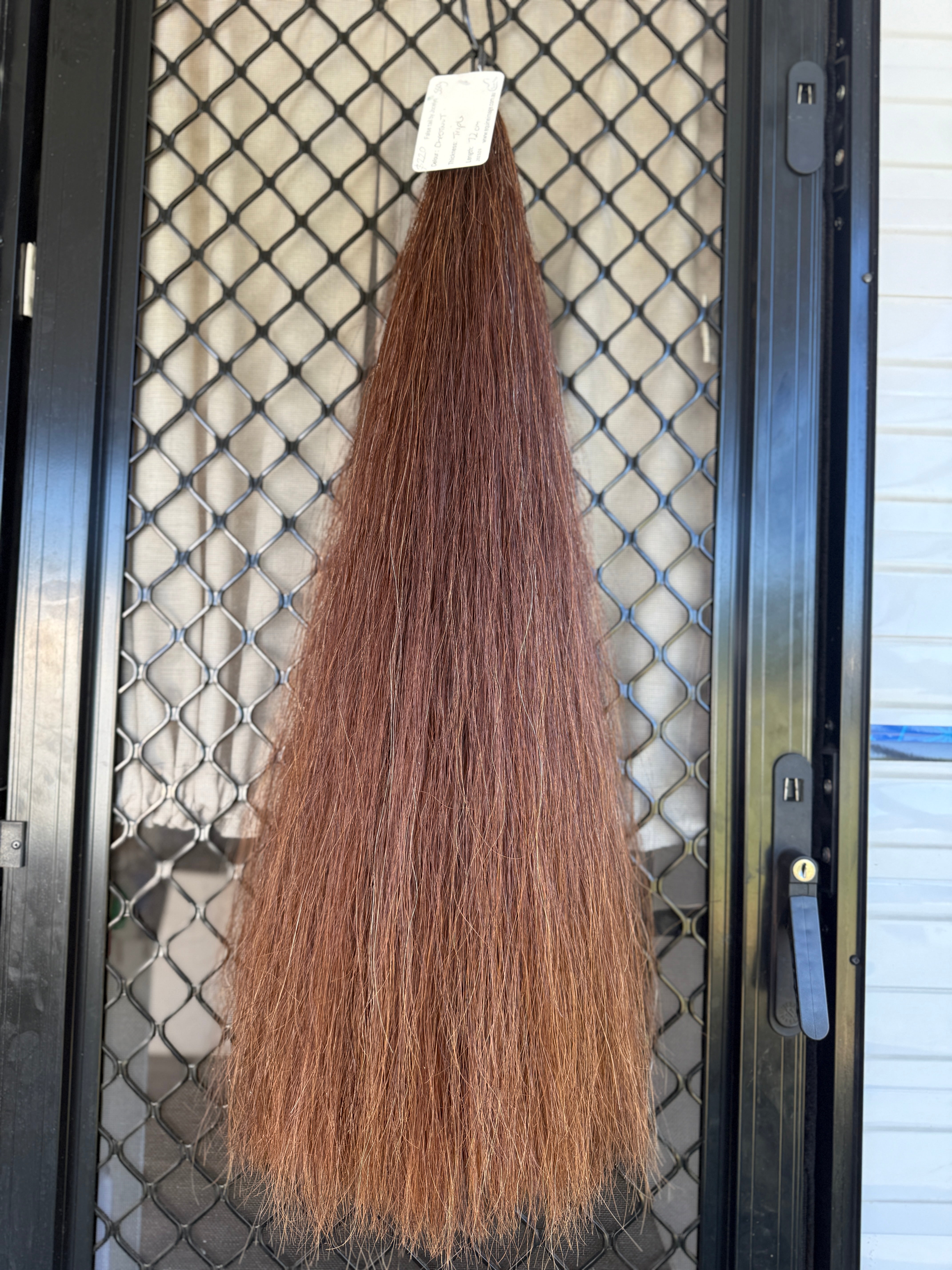 Chestnut Triple Thickness 72 cm cut end