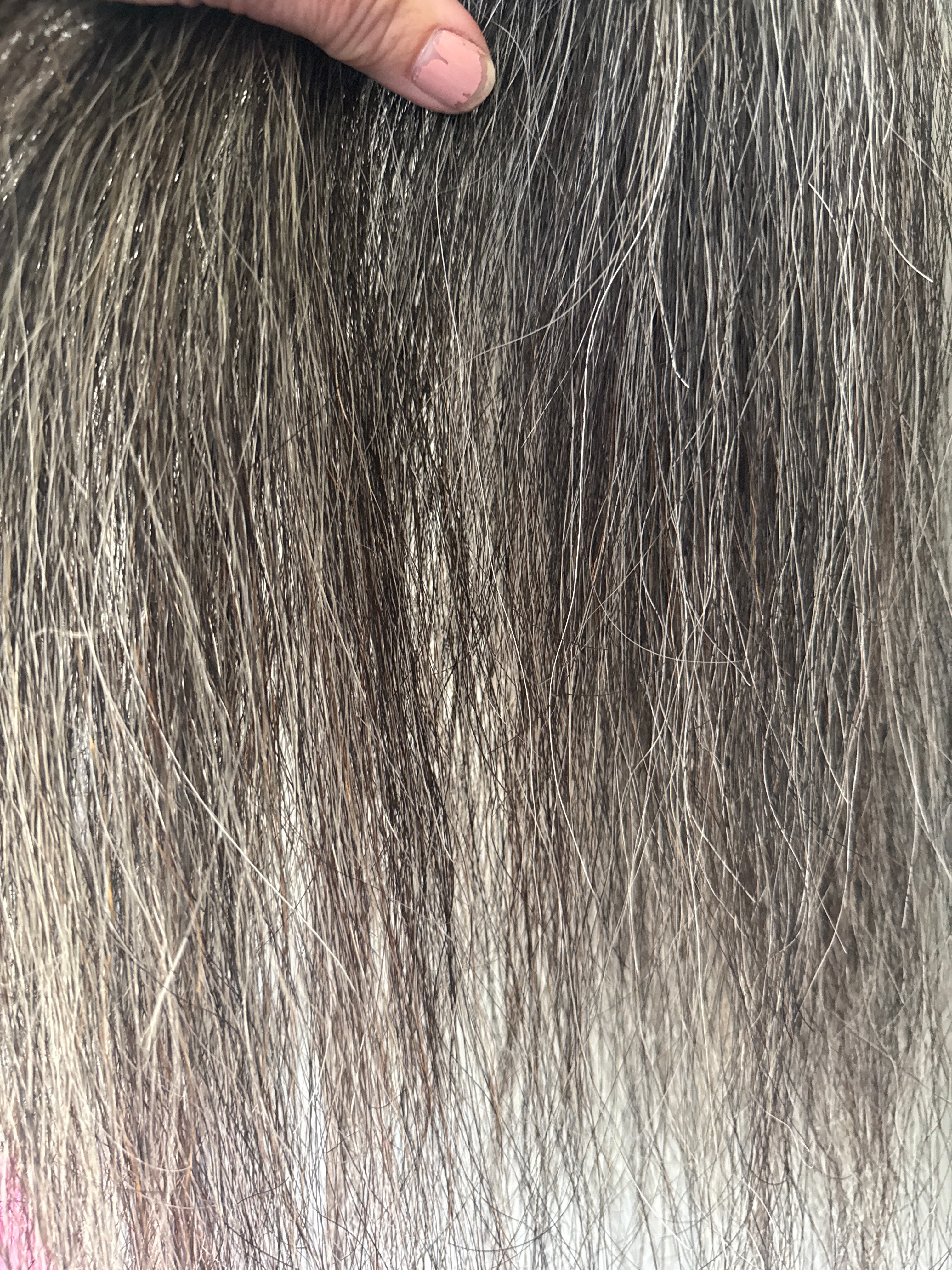 Dark Grey 61 cm long natural end Single thickness