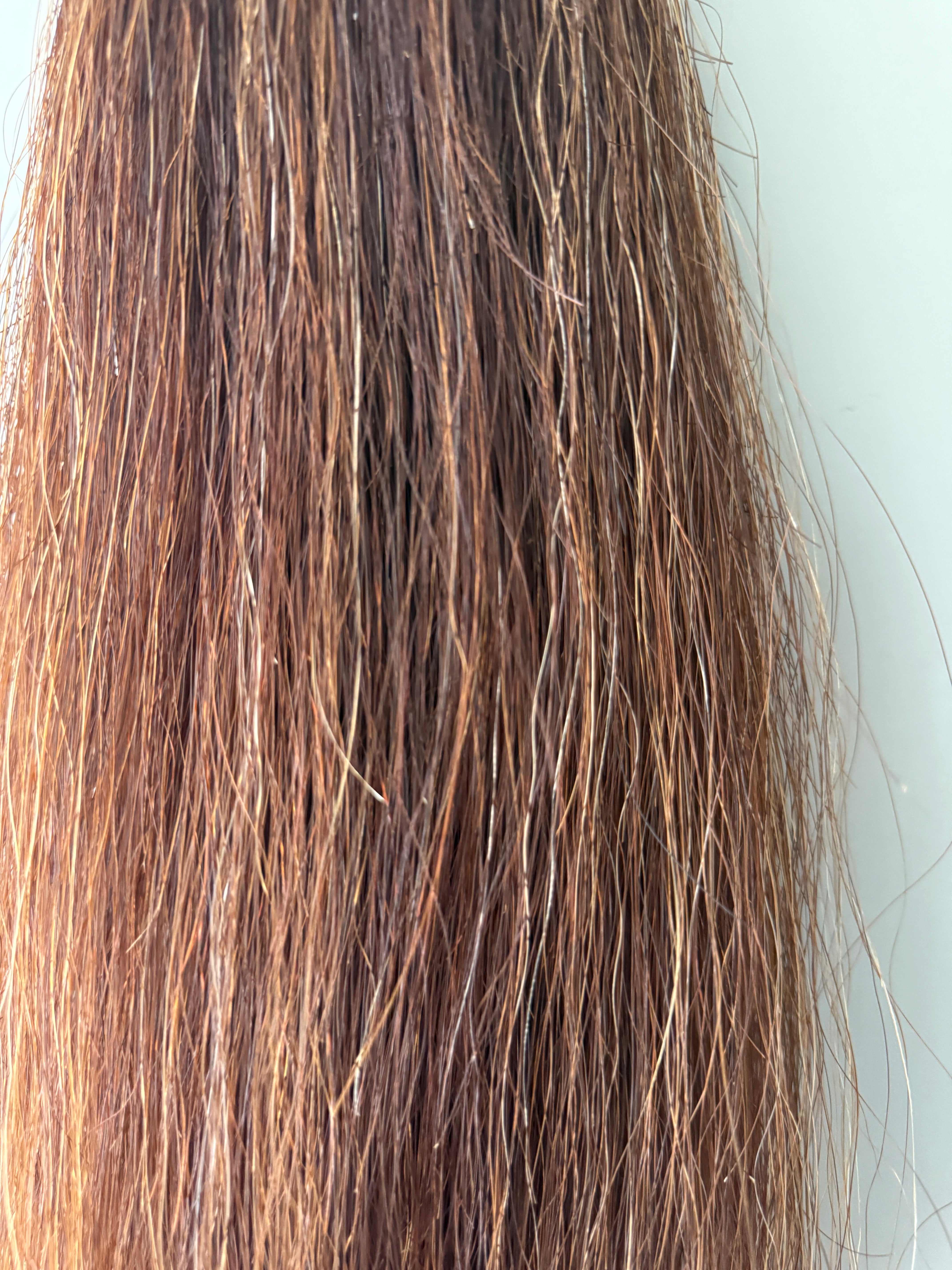 Pony Chestnut mix Full thickness ( big single ) 58 cm