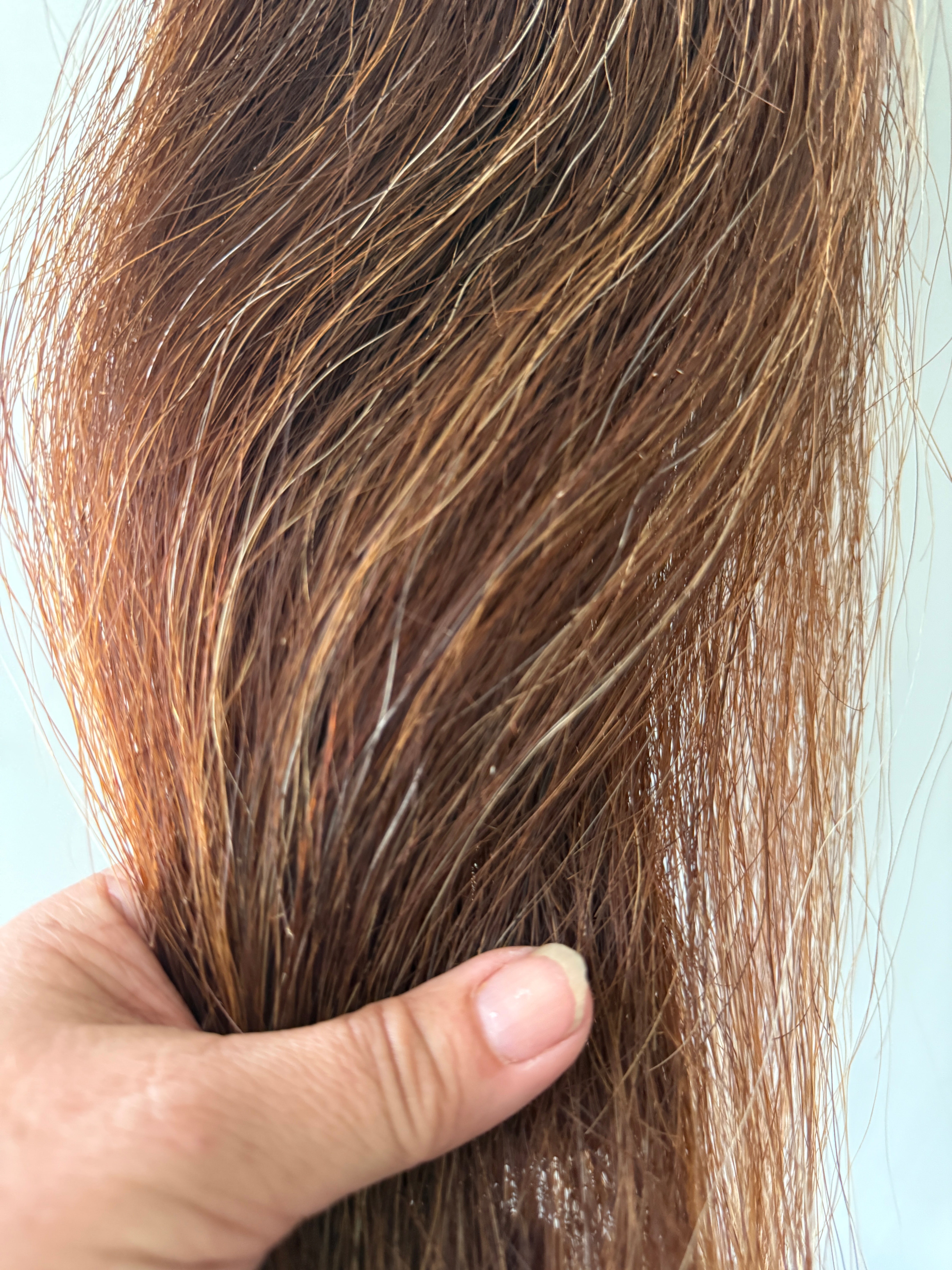 Pony Chestnut mix Full thickness ( big single ) 58 cm