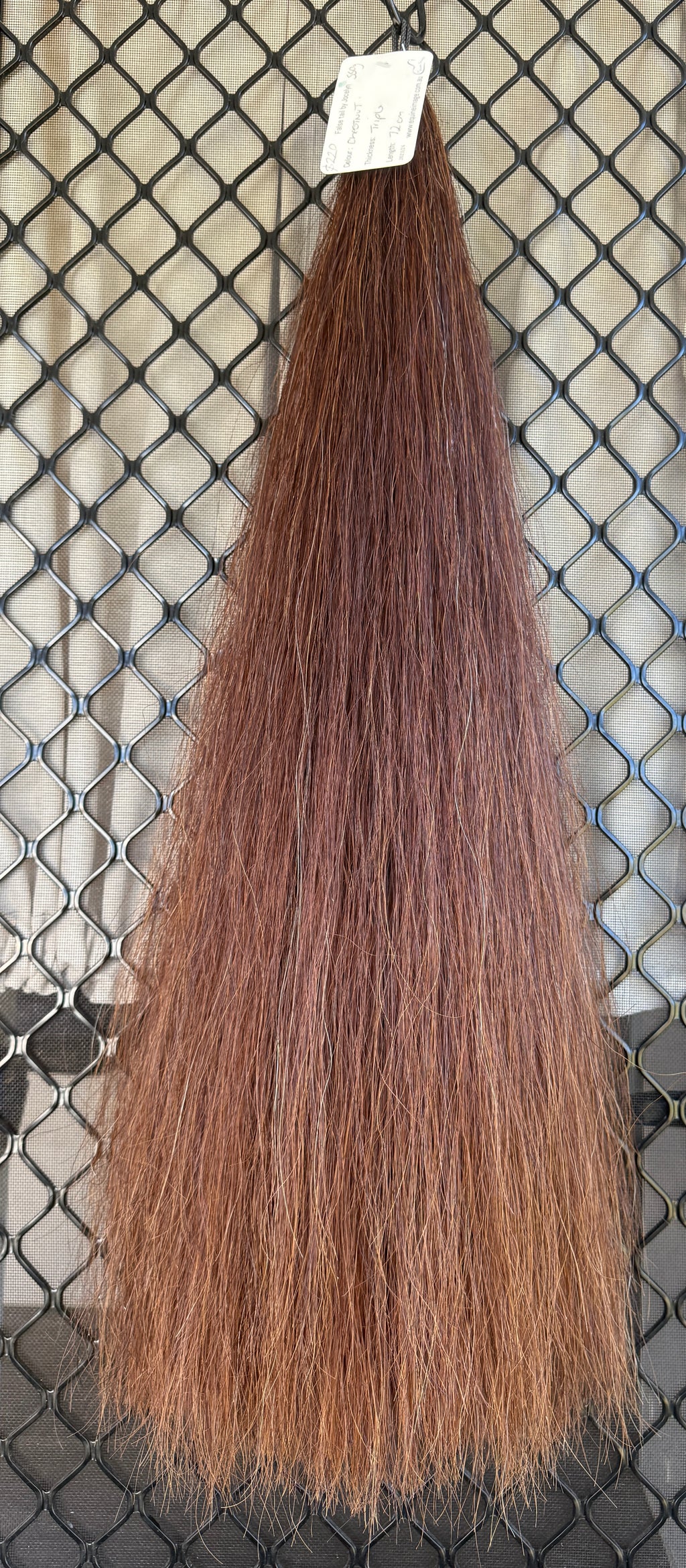 Chestnut Triple Thickness 72 cm cut end