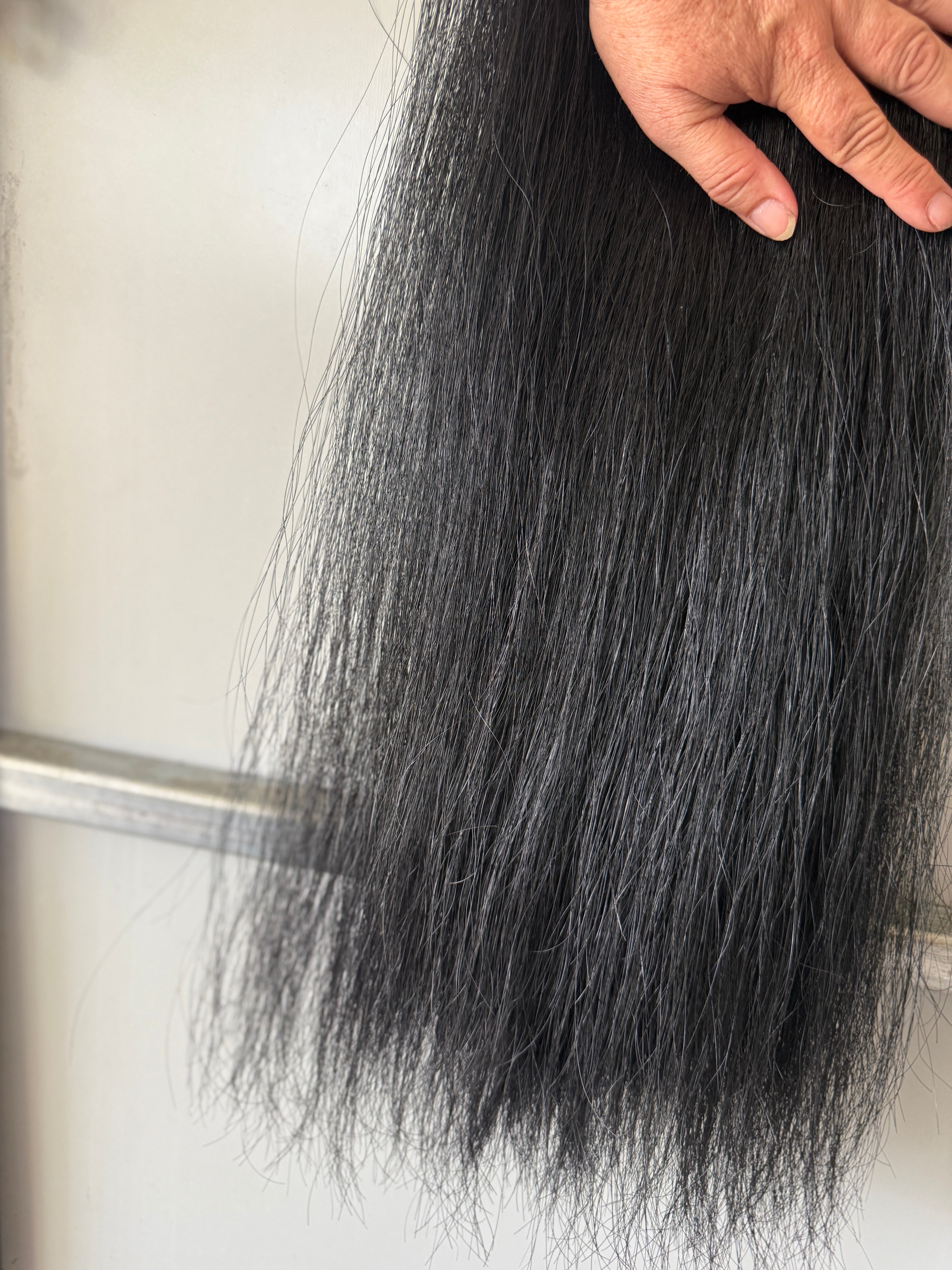 Black - Full plus 1 1/4 thickness 100 cm cut end suit Dressage 350g