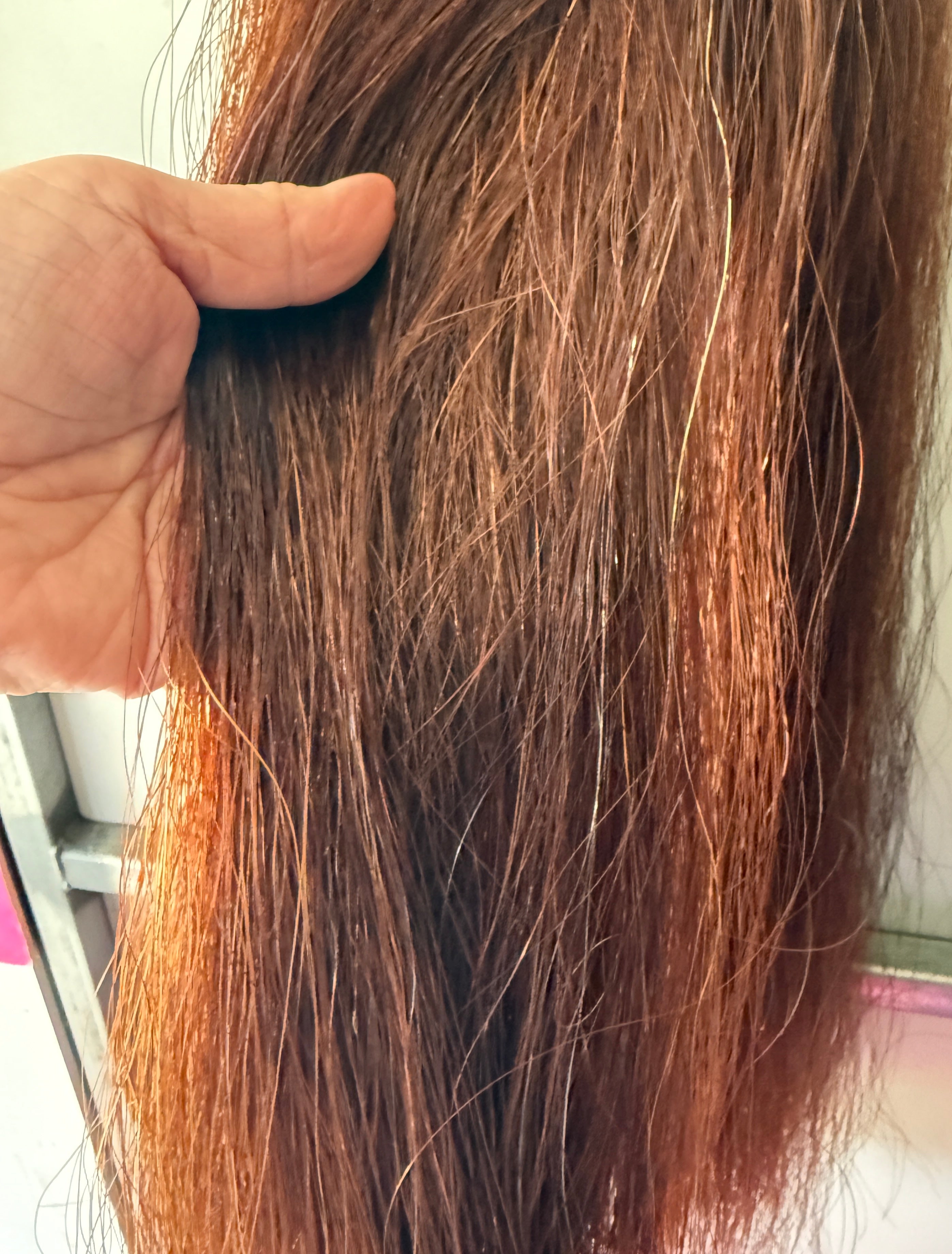 Qhorse length 100 cm cut end Red Chestnut Triple thickness 750g of hair