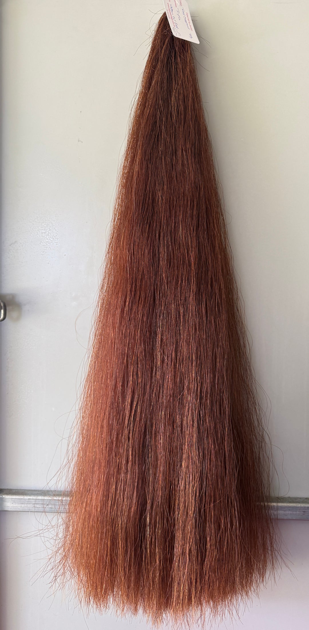 false tails in stock – Equine Image