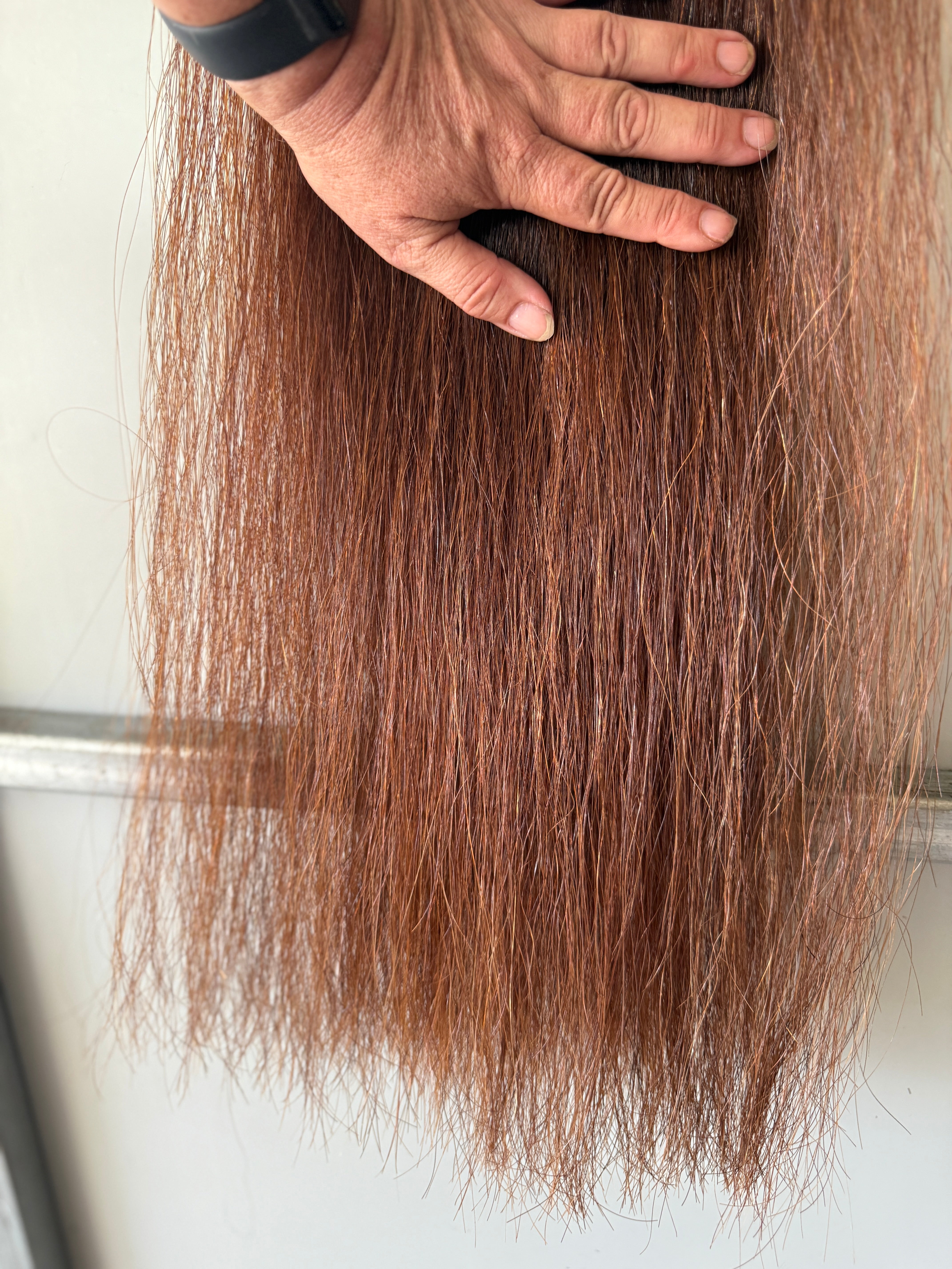 Qhorse Red Chestnut Single thickness 240g of hair 100 cm suit Dressage