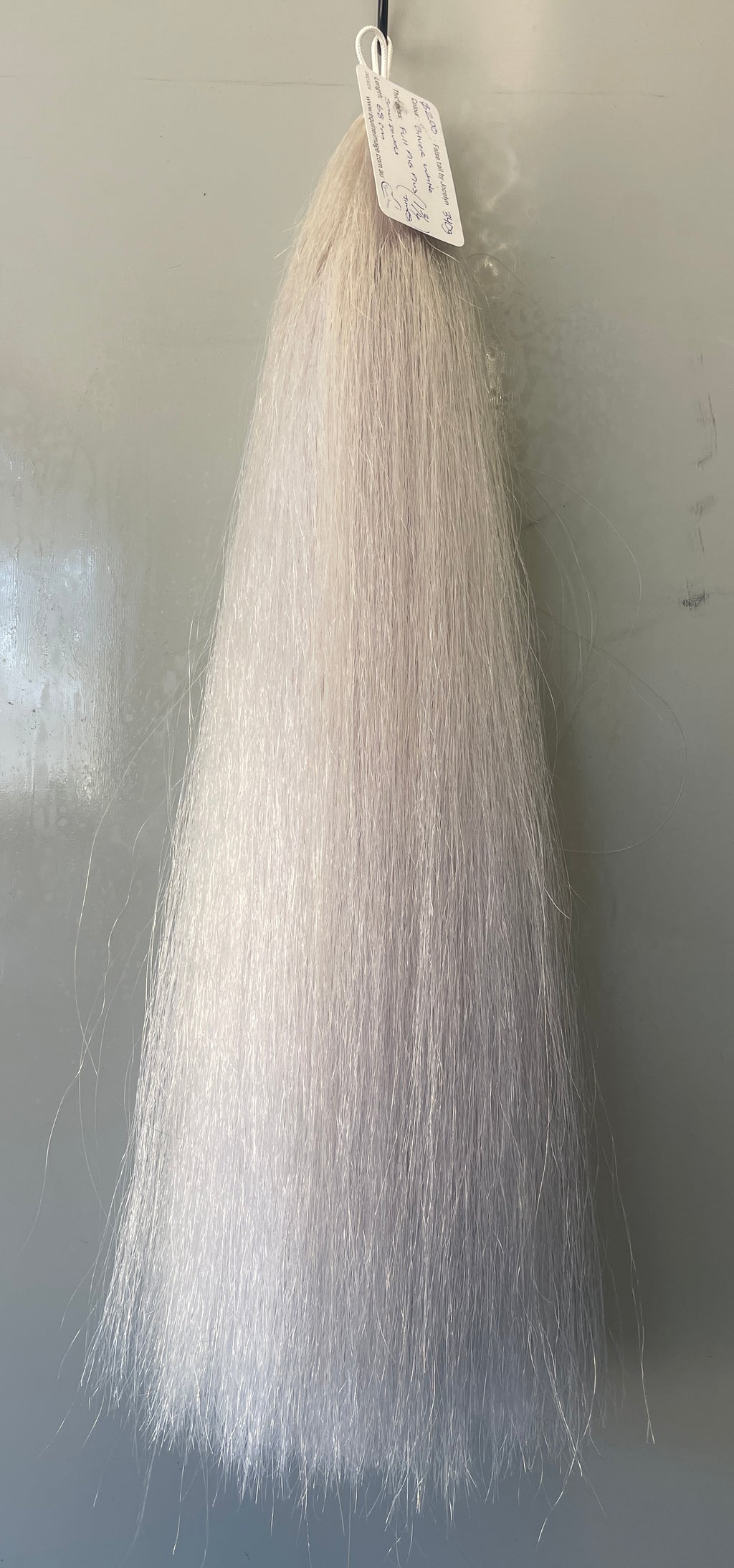 Silver white Full plus plus 68 cm cut end