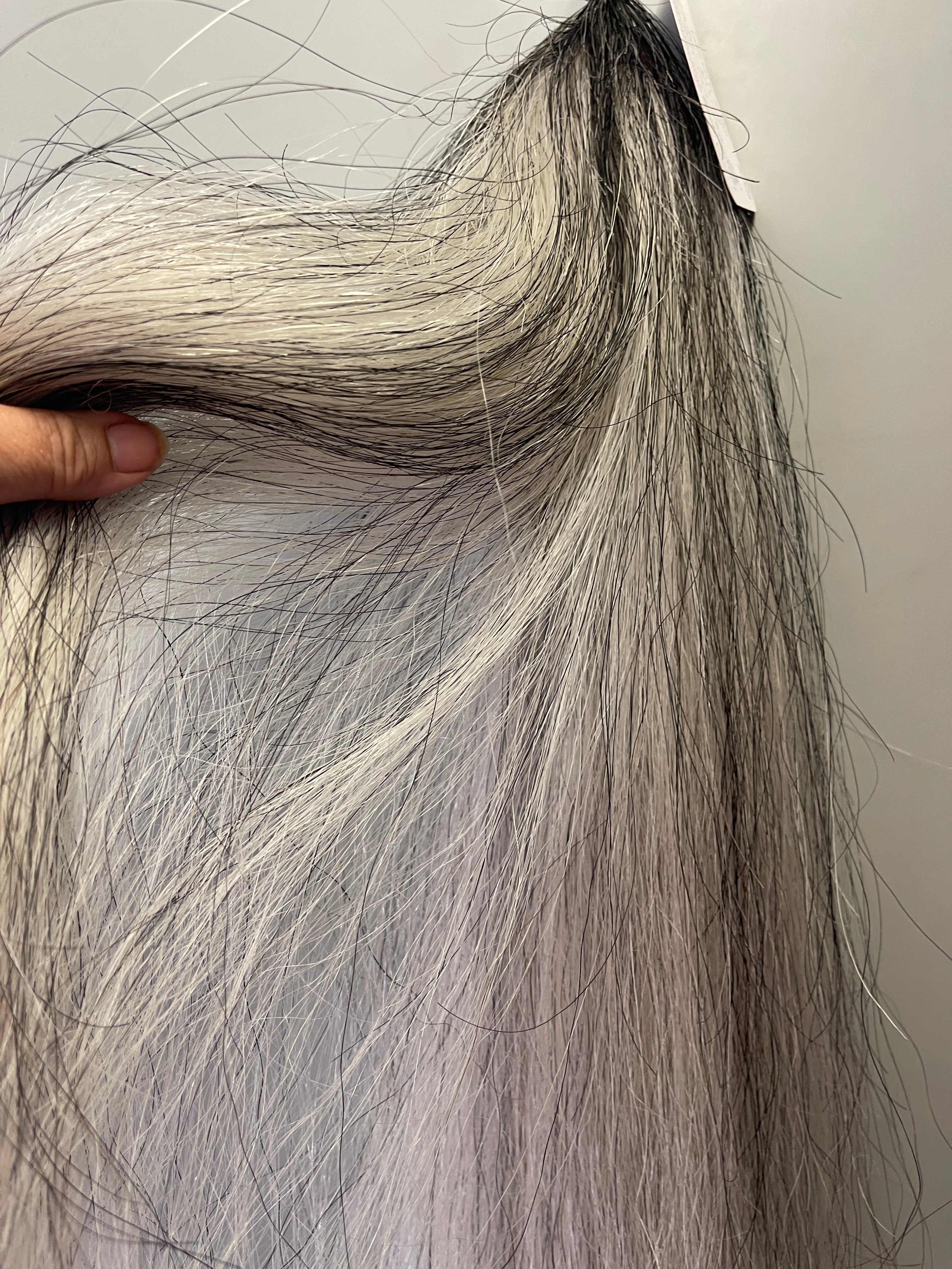 Grey Blend Full plus plus 1 3/4 - small Double thickness 58 cm cut end