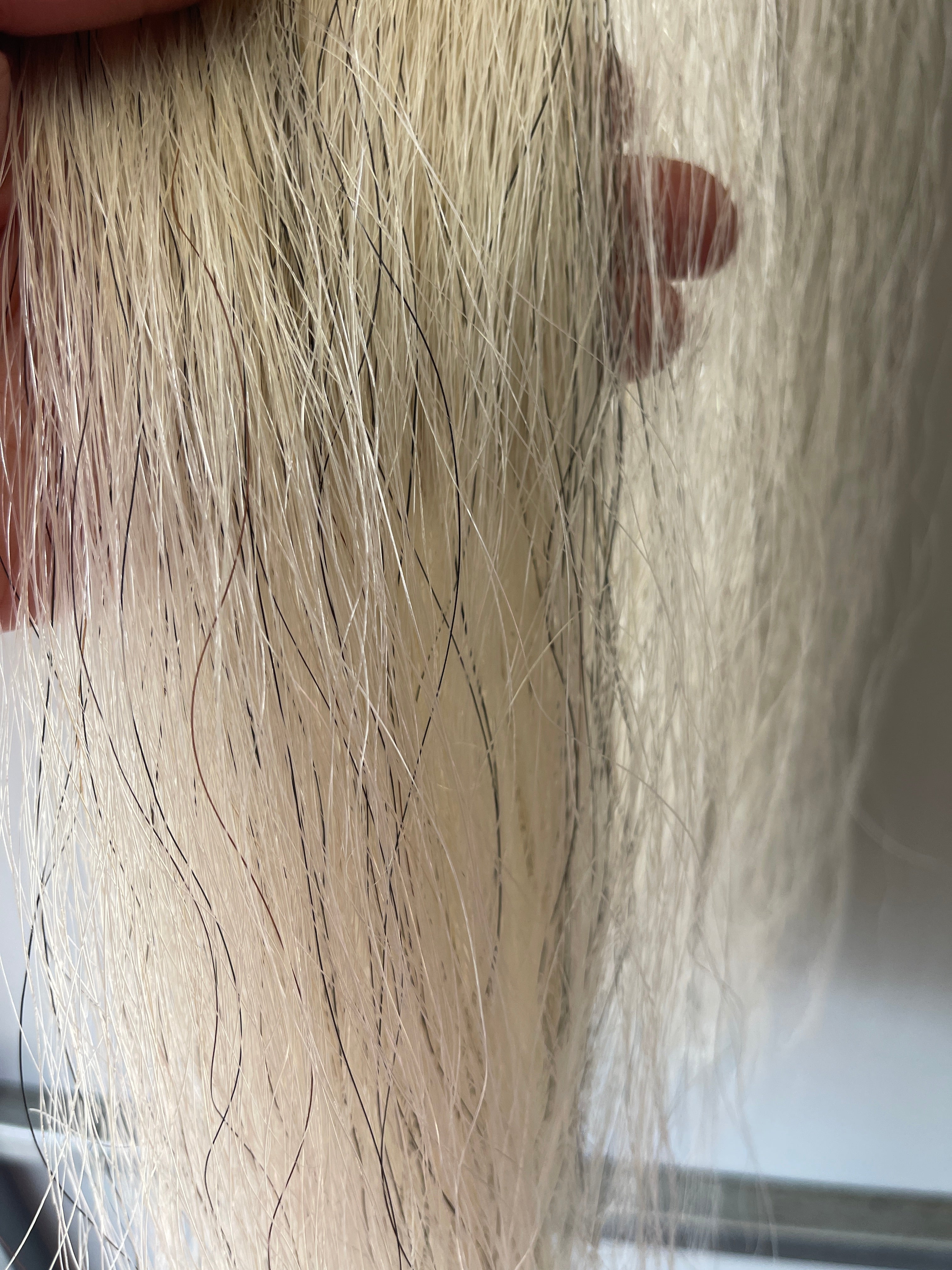 Weight light grey Full thickness - just over single thickness  66 cm final weight 630g