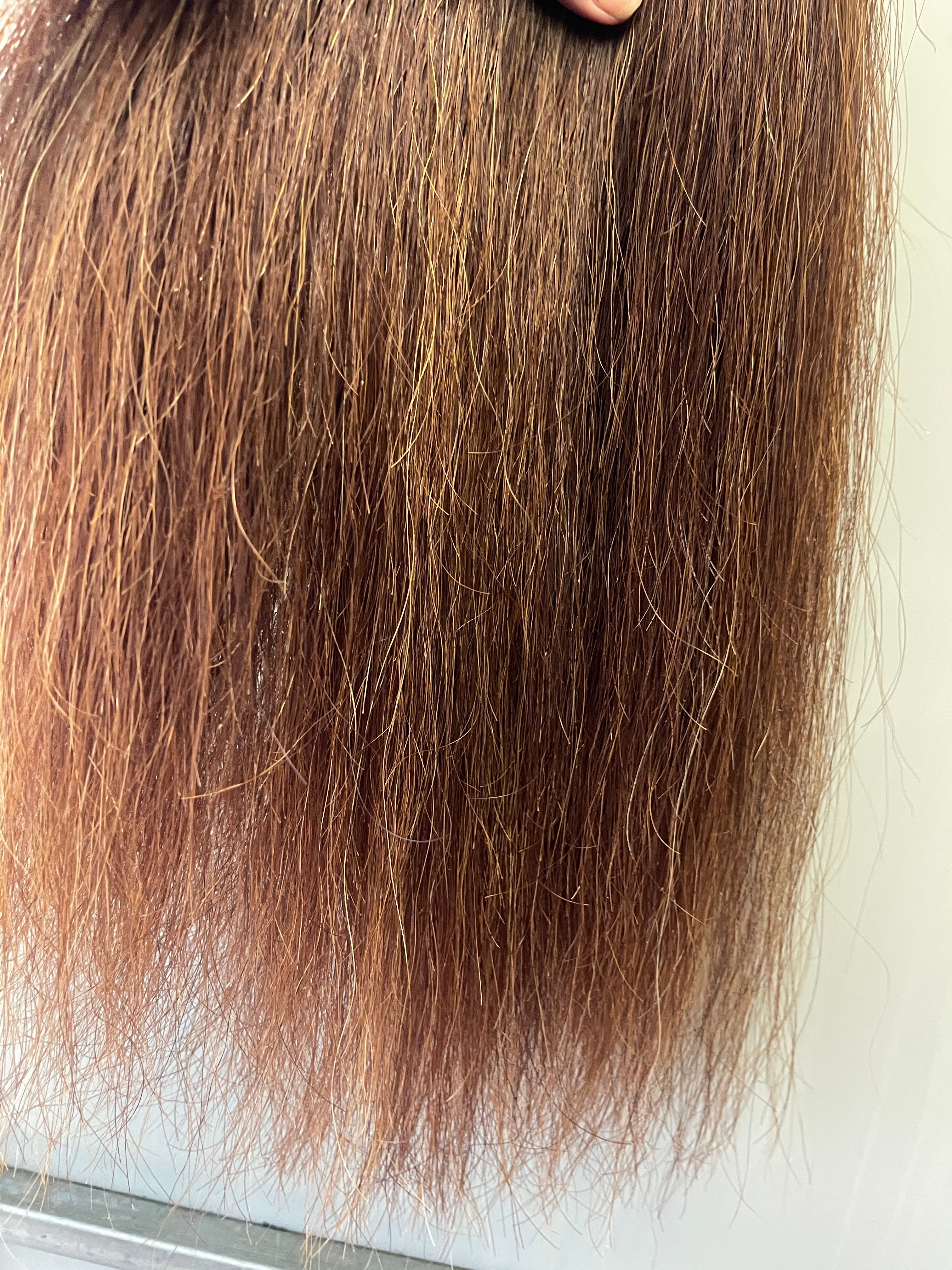 Chestnut mix blend 70 cm natural end Full thickness ( just over single thick)