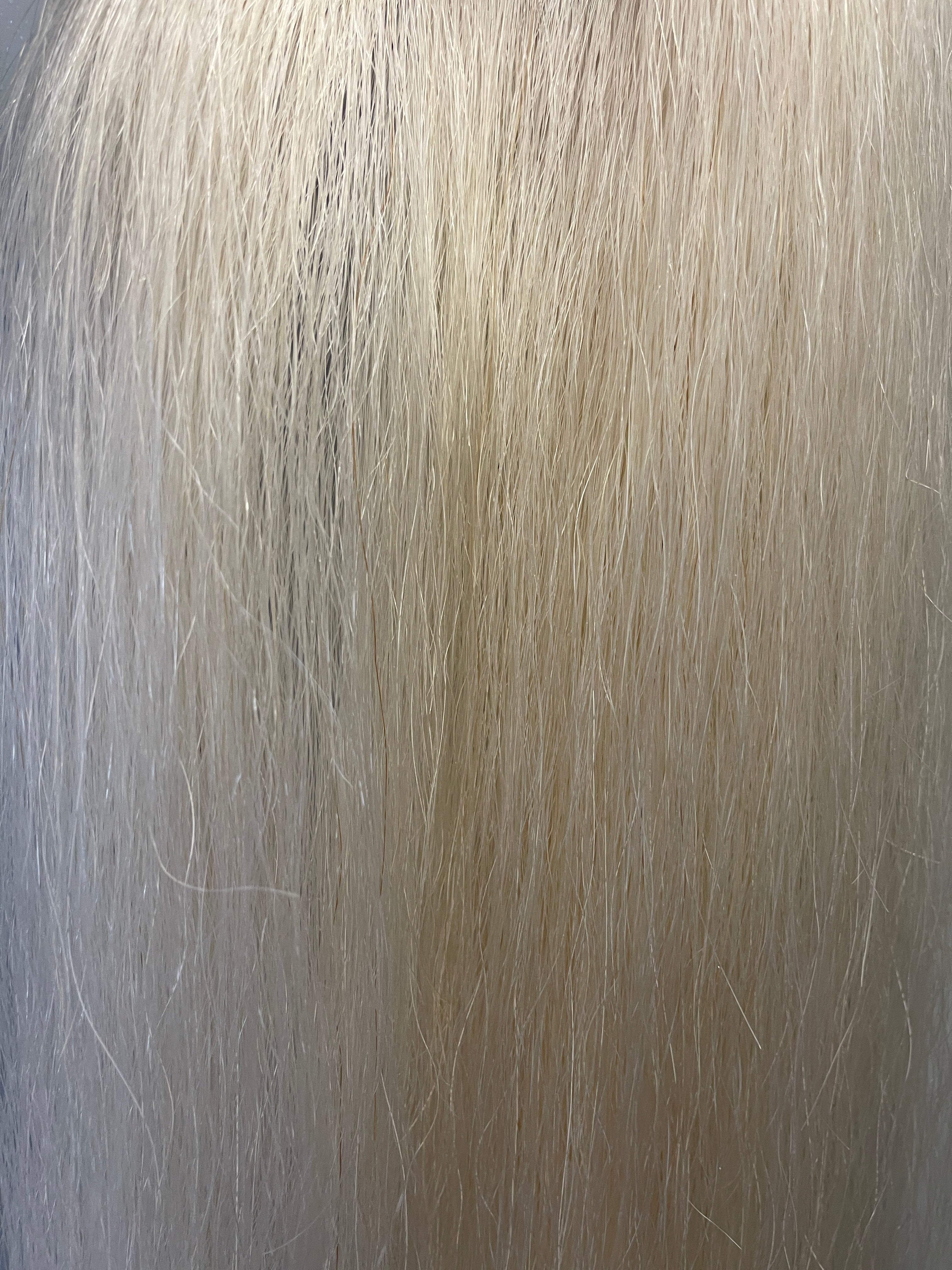 Off white Full plus ( 1.5 times ) 66 cm cut end