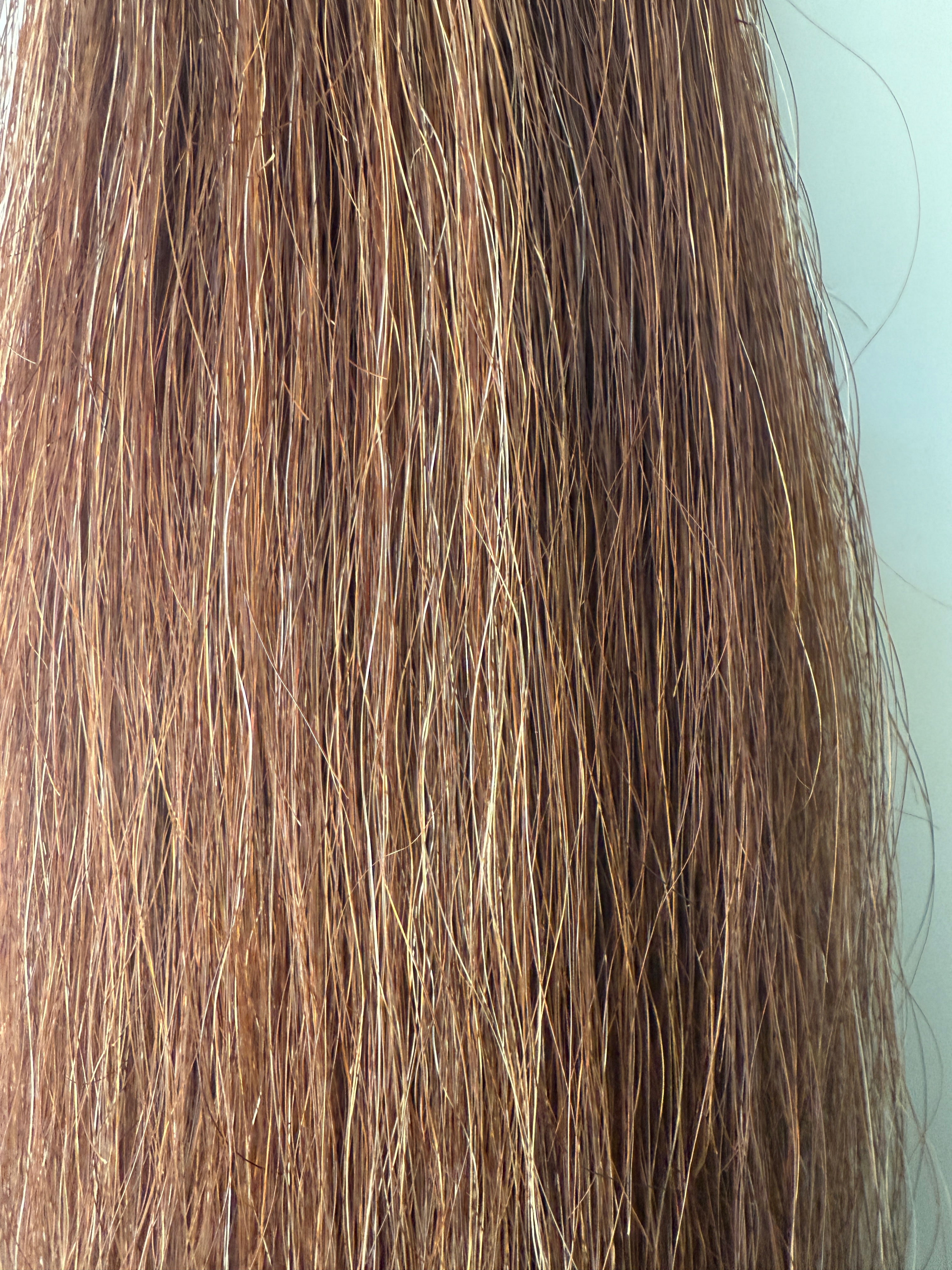 Weighted Chestnut blend Double 60 cm final weight 600g (250g weight added )