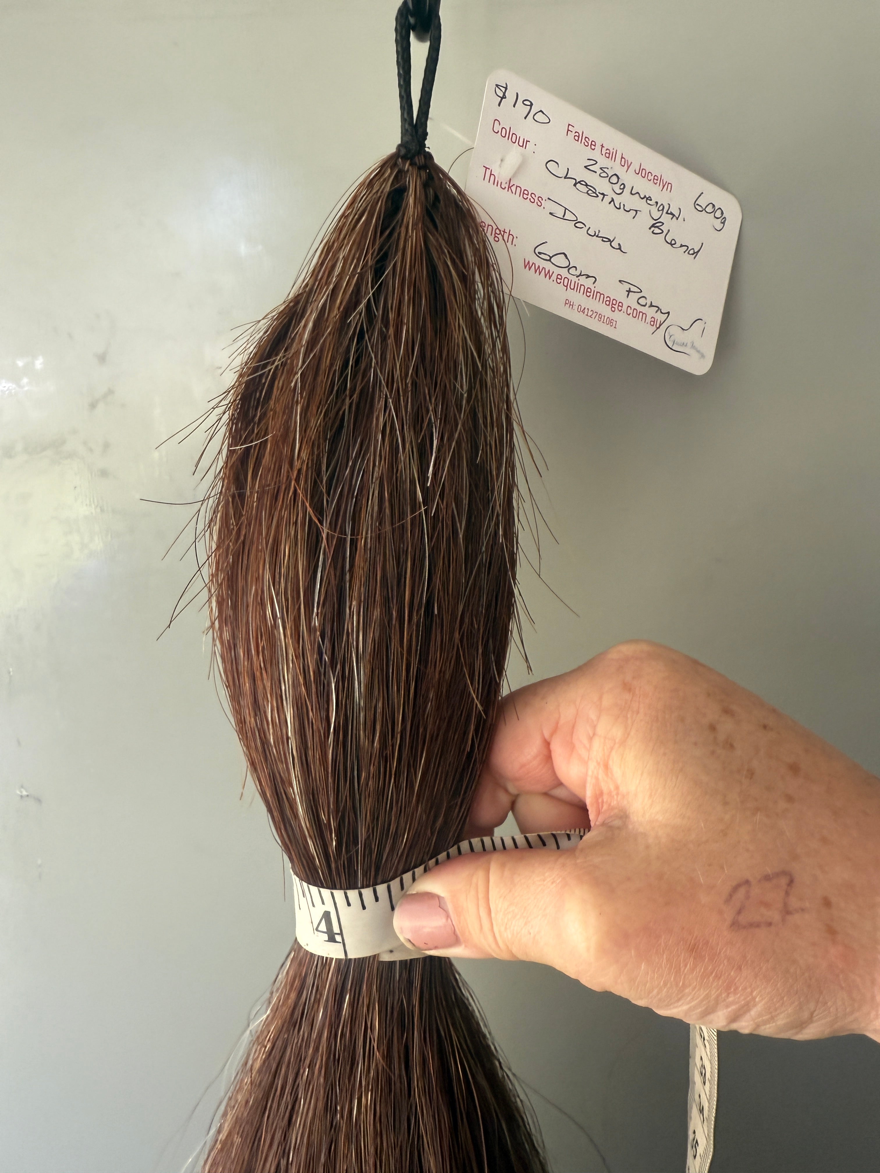 Weighted Chestnut blend Double 60 cm final weight 600g (250g weight added )