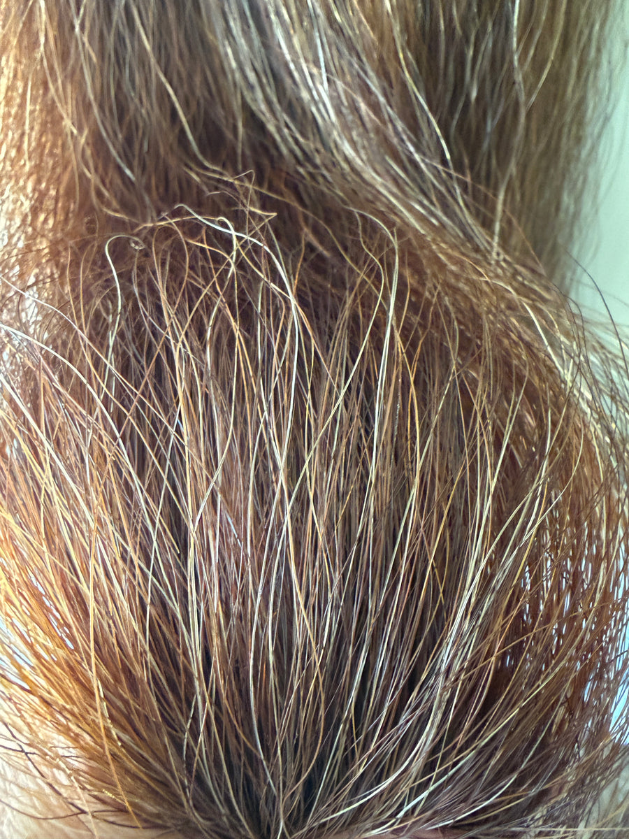 Qhorse Length 102 cm cut end Chestnut mix Blend Triple plus ( sits lik ...