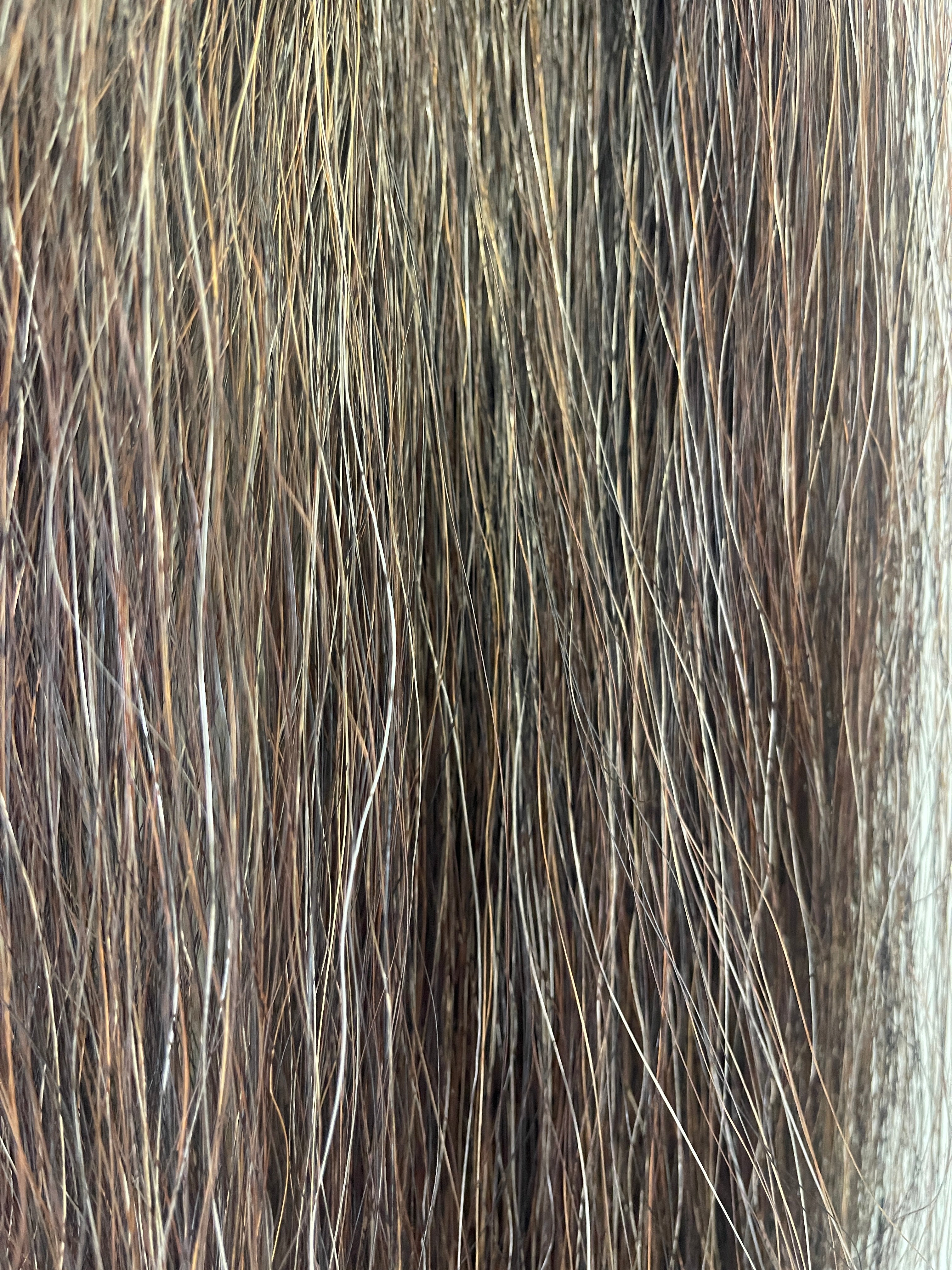 Darker chestnut flaxen mix single/ medium thickness 76 cm cut end