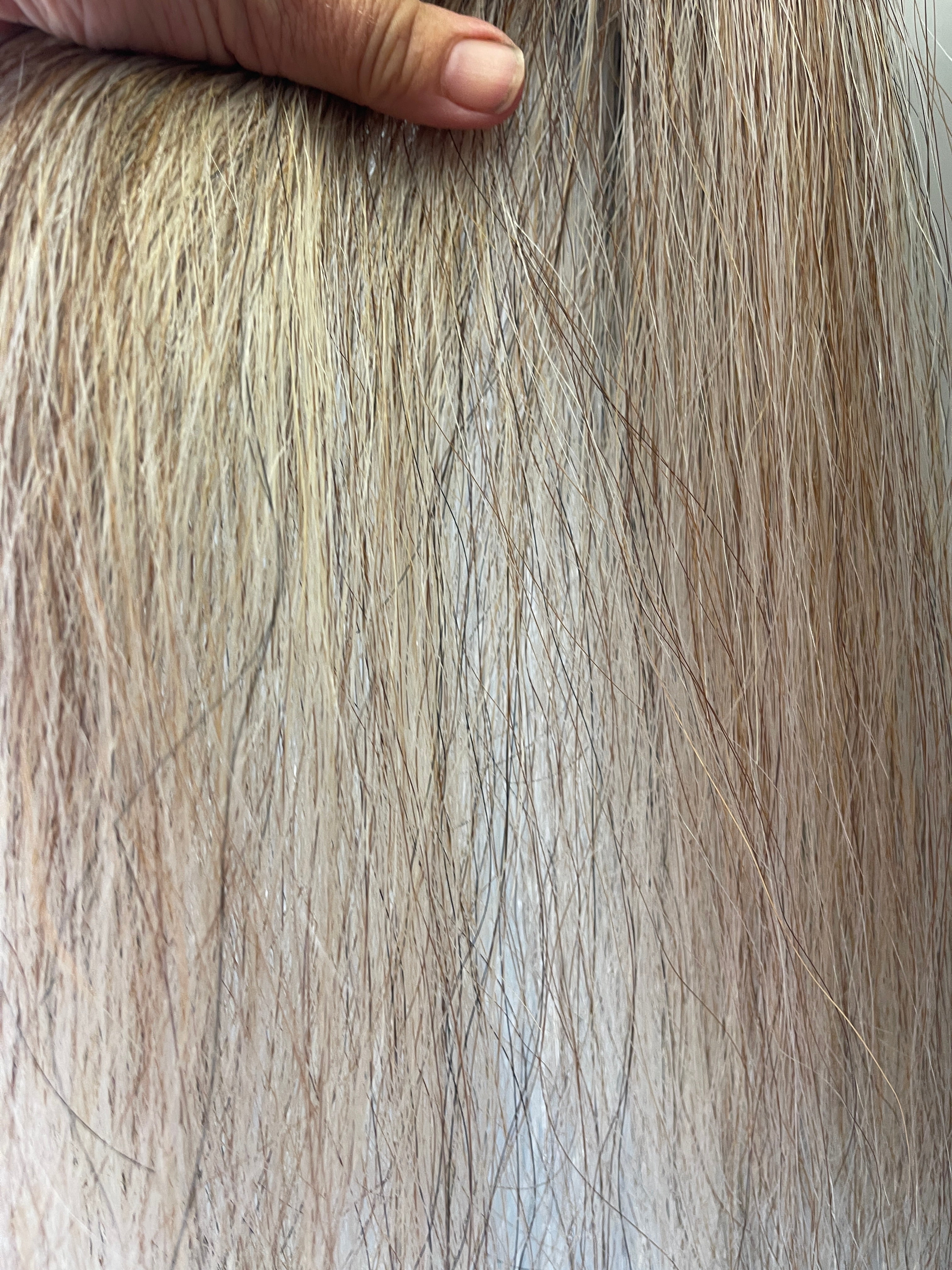 Red flaxen mix Single thickness 60 cm pony / yearling