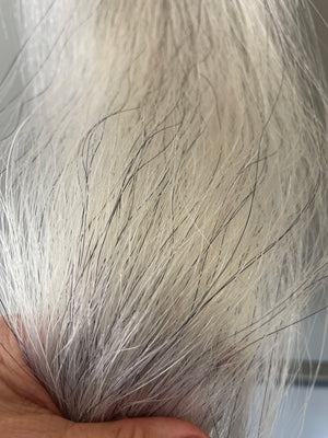 Light Grey Full Thickness 71 cm cut end 230g of hair