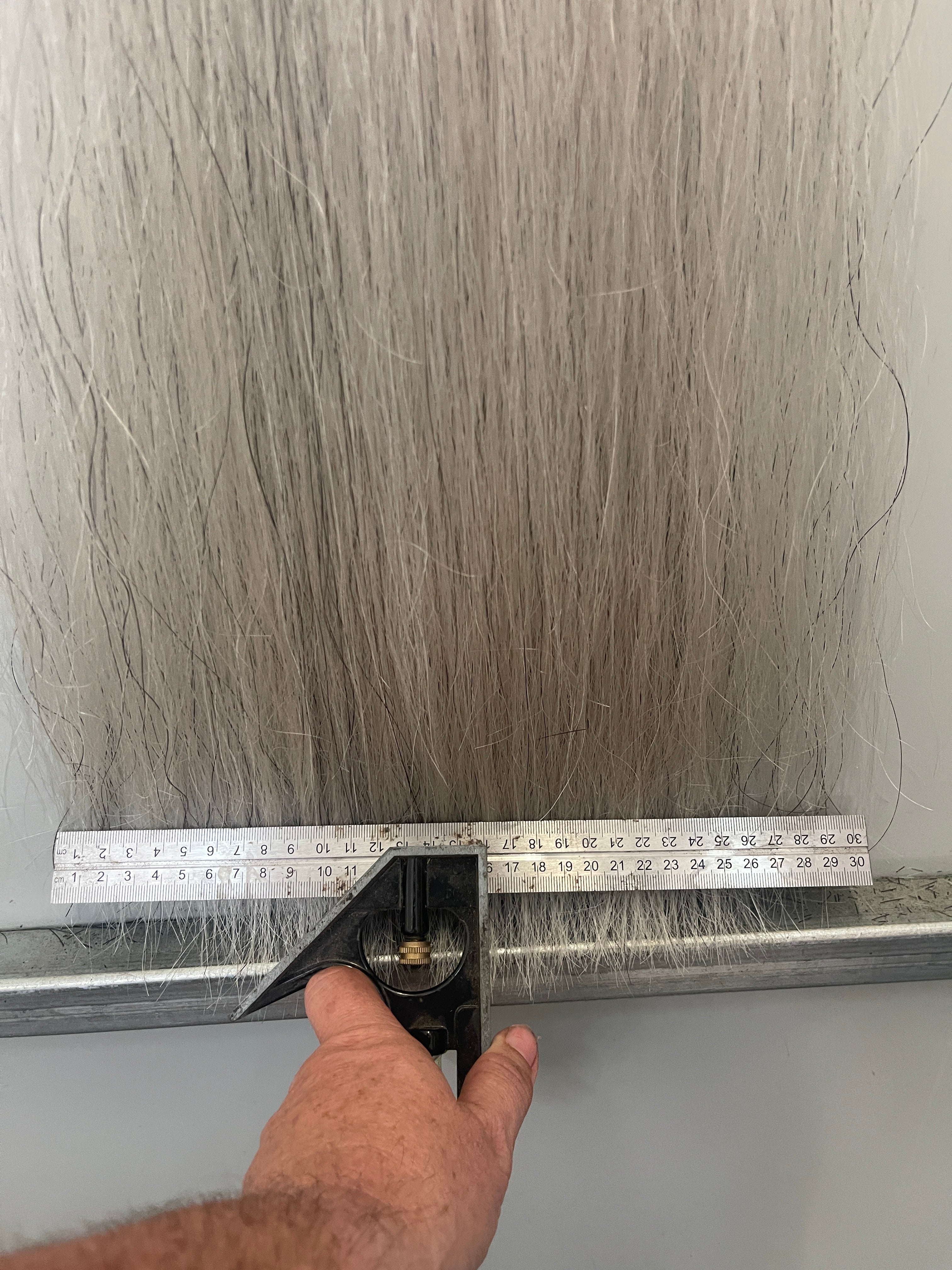 Light grey 88 cm cut end single / full thickness 250g