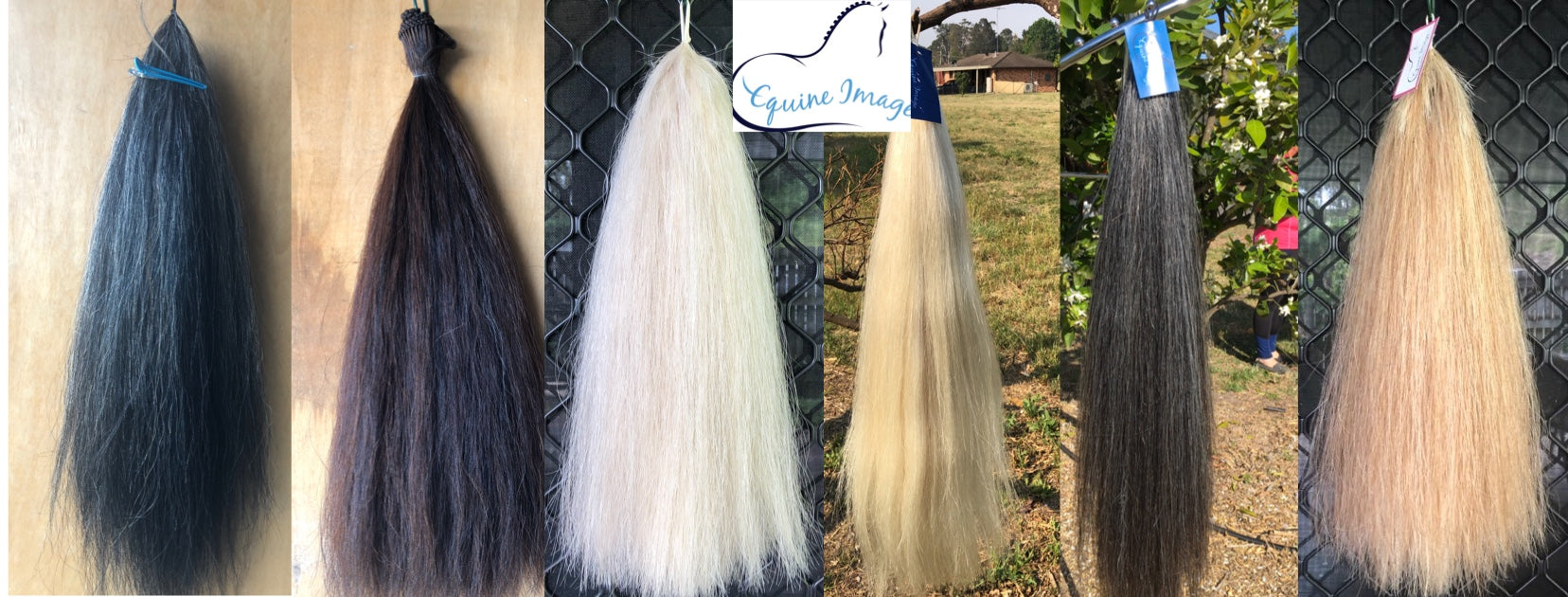 EQUINE IMAGE - False Tails, Forelocks, Mane Wefts & Rossettes – Equine ...