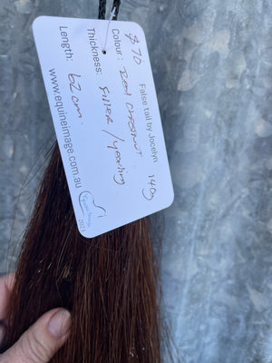 Red chestnut Filler / yearling thickness 62 cm long cut end