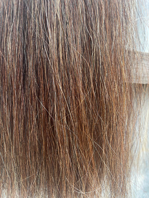 Darker chestnut flaxen mix single/ medium thickness 74 cm cut end