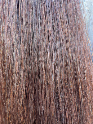 Darker Red chestnut Full plus ( 1.5 times ) 76 cm cut end