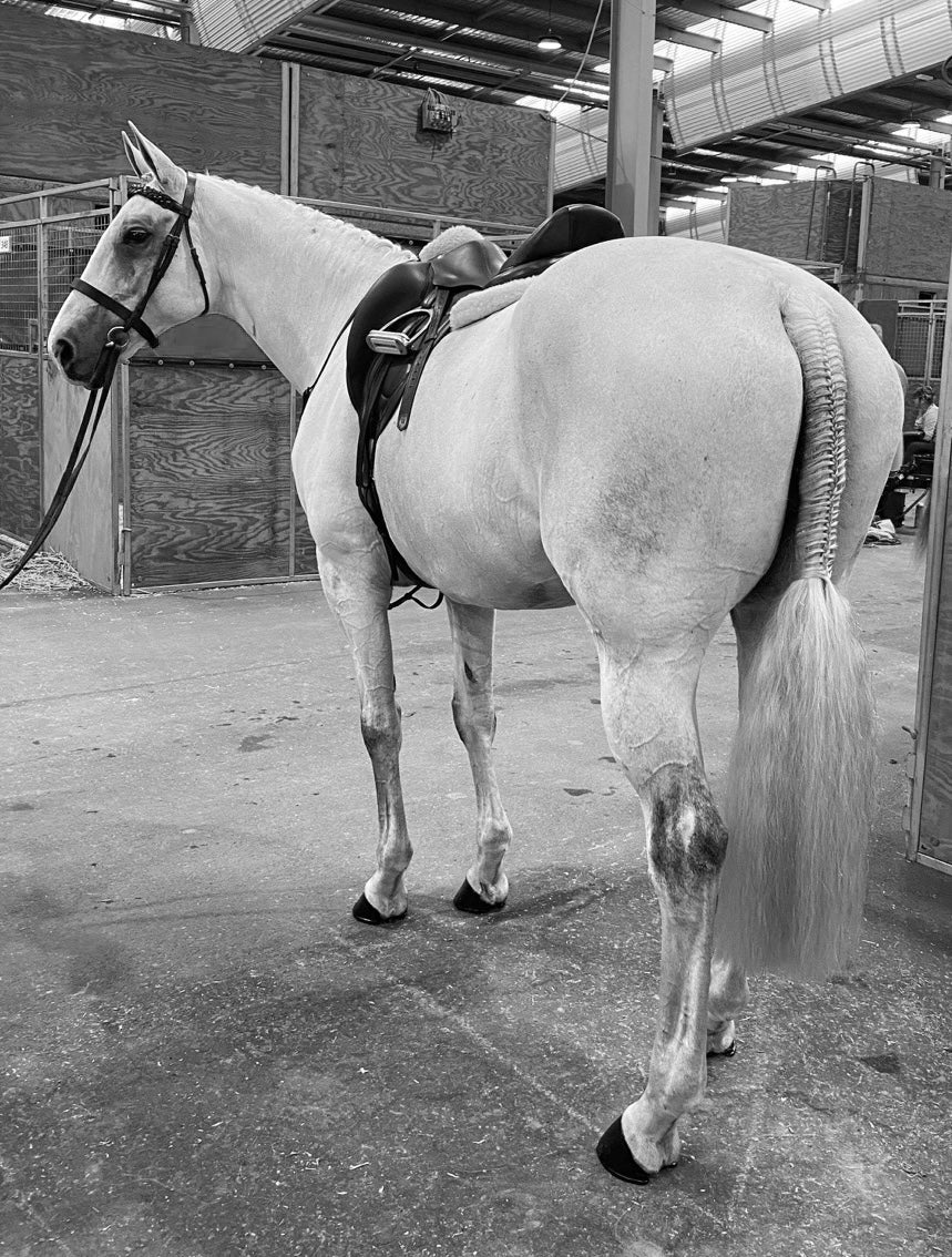 EQUINE IMAGE - False Tails, Forelocks, Mane Wefts & Rossettes – Equine ...